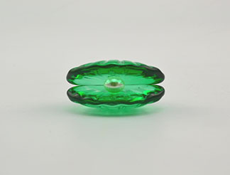 GLASS SHELL